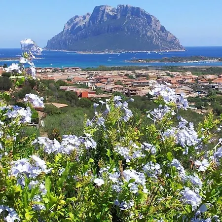 Villa Le Del Mare