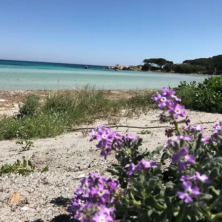 Le Del Mare * פורטו סן פאולו