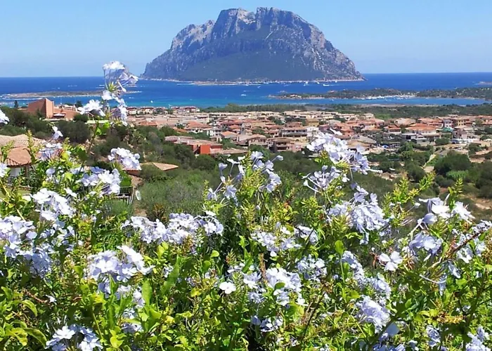 Vila Le Del Mare