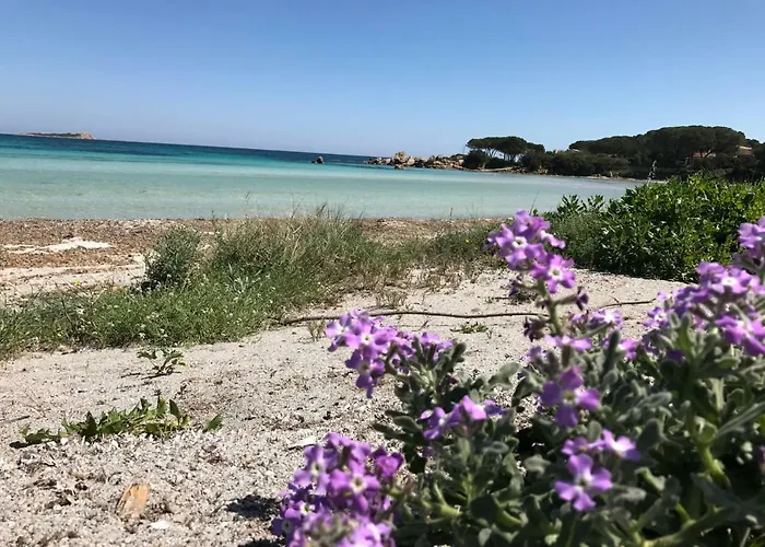Le Del Mare * Porto San Paolo (Sardinia)